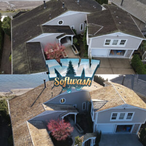 NW Softwash Expands Professional Roof Cleaning Services to Address Rising Roof Damage in Pacific Northwest